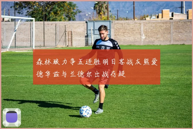 森林狼力争五连胜明日客战灰熊爱德华兹与兰德尔出战存疑