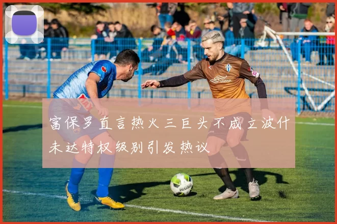 富保罗直言热火三巨头不成立波什未达特权级别引发热议