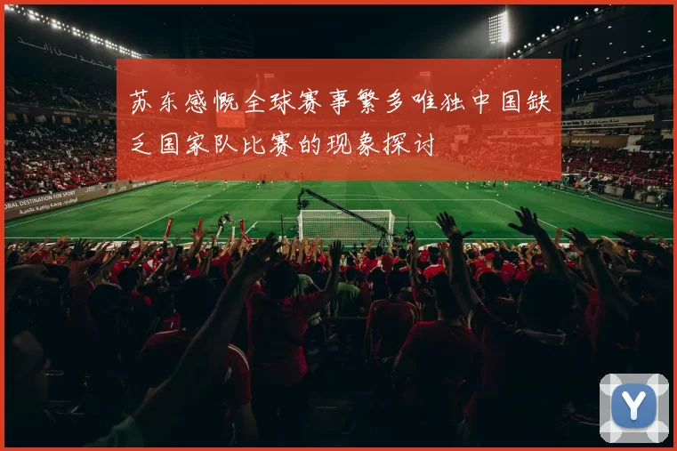 苏东感慨全球赛事繁多唯独中国缺乏国家队比赛的现象探讨