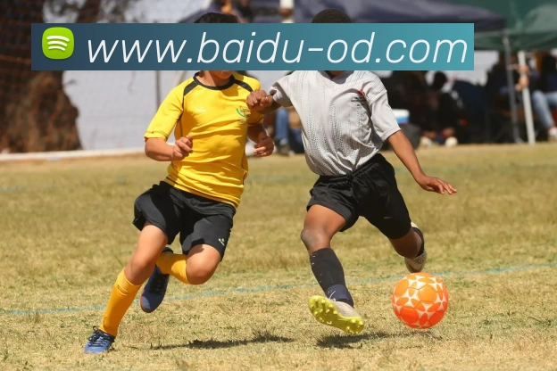 OD体育发展历程